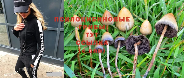 первитин Армянск